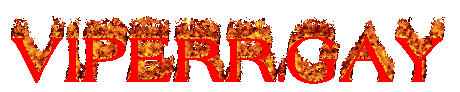 Viperr.gay